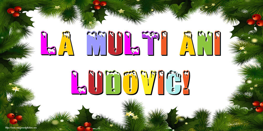 Felicitari de Anul Nou - La multi ani Ludovic!