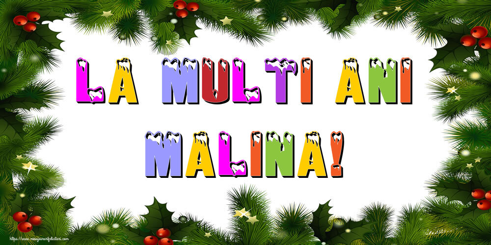 Felicitari de Anul Nou - La multi ani Malina!