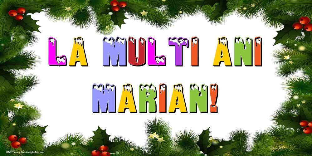 Felicitari de Anul Nou - La multi ani Marian!