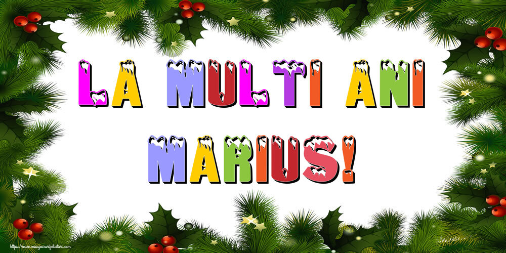 Felicitari de Anul Nou - Brazi | La multi ani Marius!