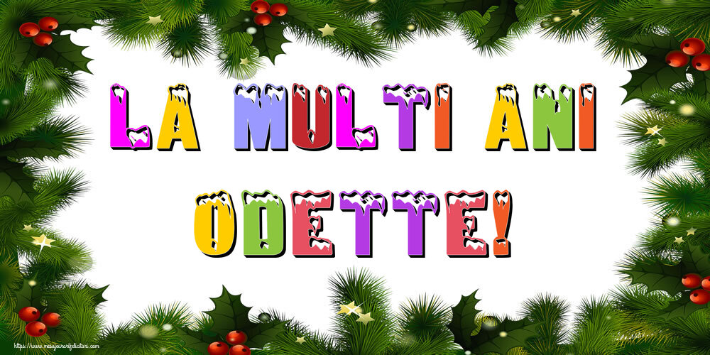 Felicitari de Anul Nou - La multi ani Odette!