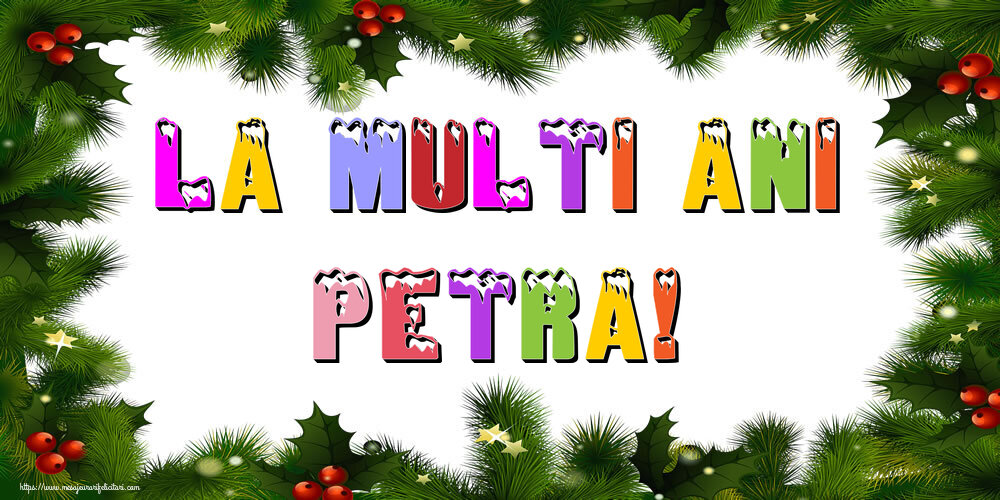 Felicitari de Anul Nou - Brazi | La multi ani Petra!
