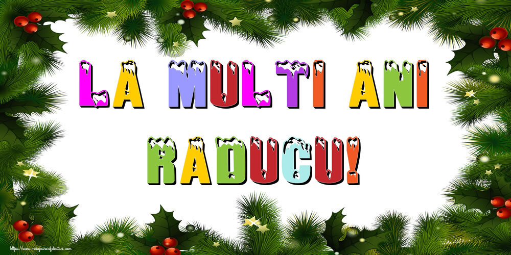 Felicitari de Anul Nou - Brazi | La multi ani Raducu!