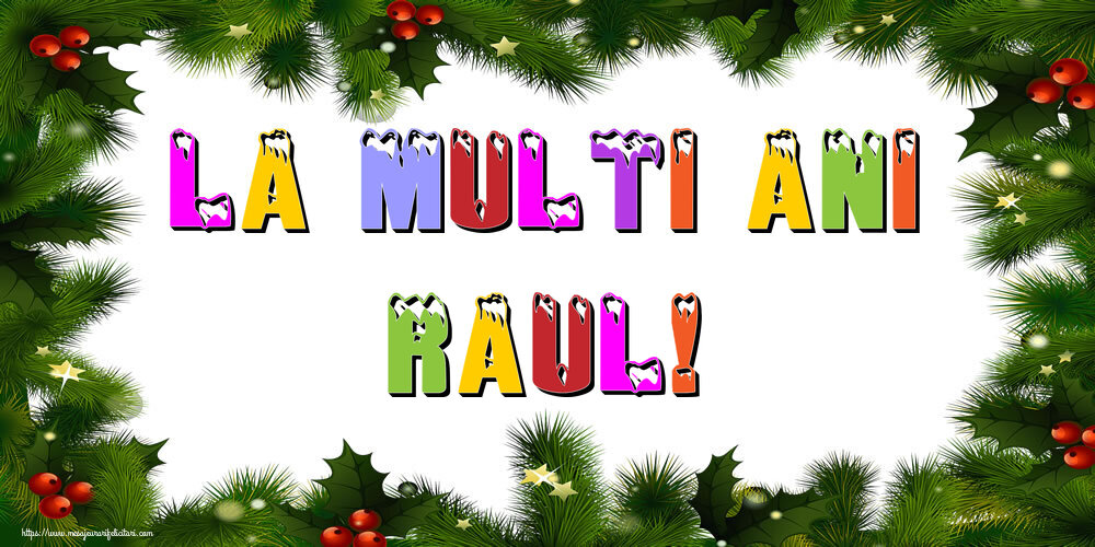 Felicitari de Anul Nou - La multi ani Raul!