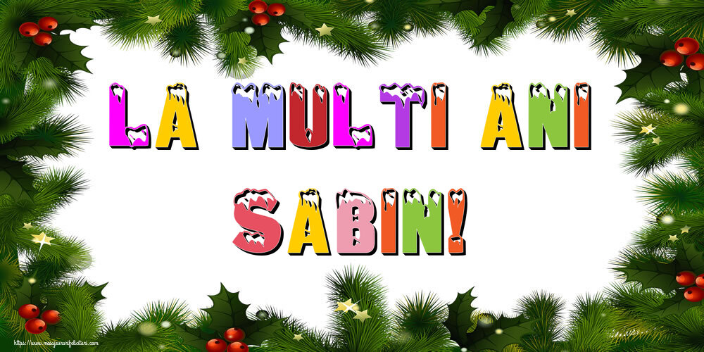 Felicitari de Anul Nou - Brazi | La multi ani Sabin!
