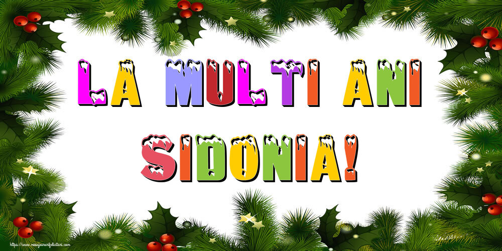 Felicitari de Anul Nou - La multi ani Sidonia!