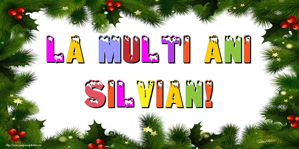 Felicitari de Anul Nou - La multi ani Silvian!