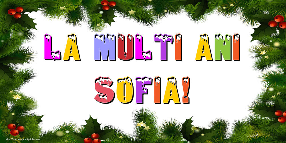 Felicitari de Anul Nou - La multi ani Sofia!