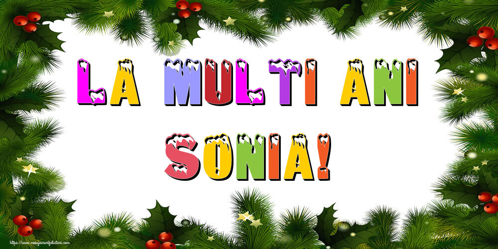Felicitari de Anul Nou - La multi ani Sonia!