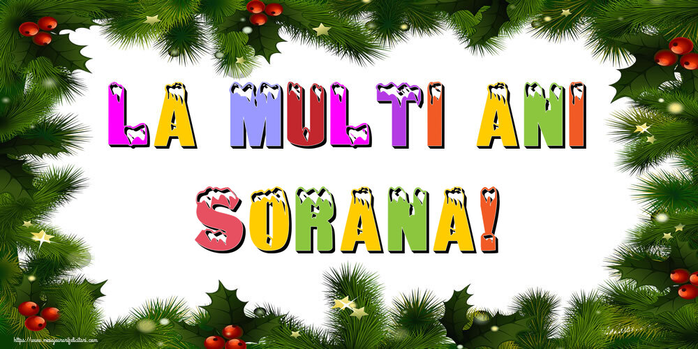 Felicitari de Anul Nou - Brazi | La multi ani Sorana!