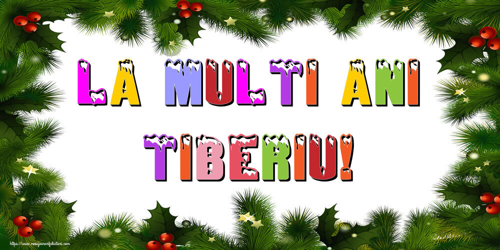 Felicitari de Anul Nou - Brazi | La multi ani Tiberiu!