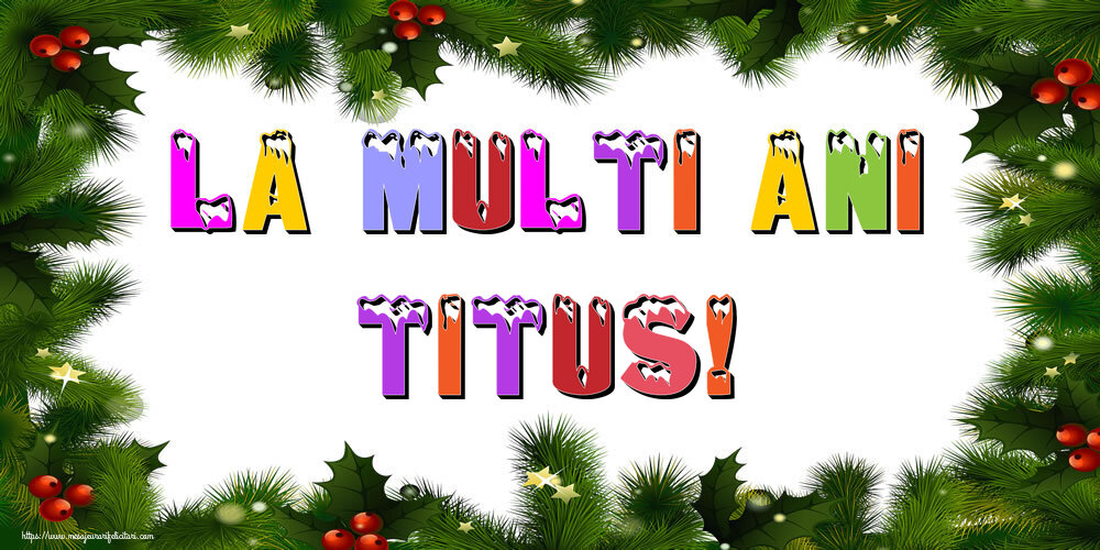 Felicitari de Anul Nou - Brazi | La multi ani Titus!