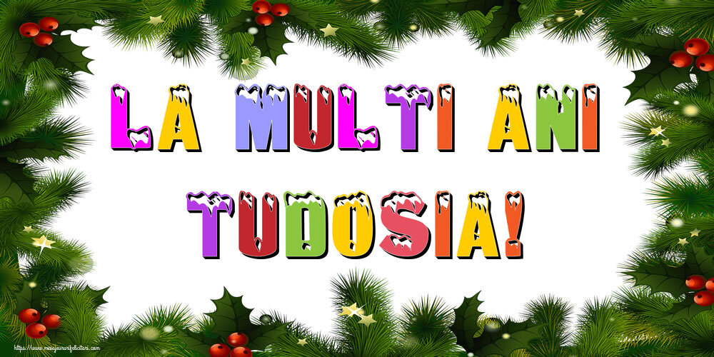 Felicitari de Anul Nou - La multi ani Tudosia!