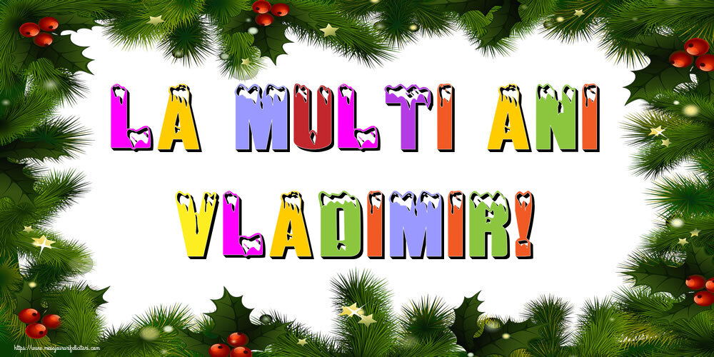 Felicitari de Anul Nou - Brazi | La multi ani Vladimir!