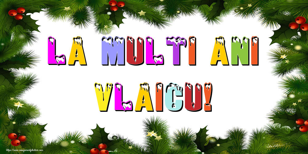 Felicitari de Anul Nou - Brazi | La multi ani Vlaicu!