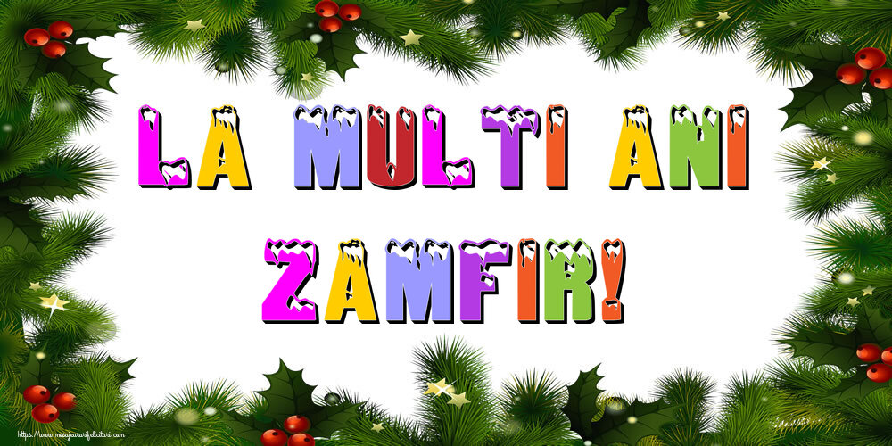 Felicitari de Anul Nou - Brazi | La multi ani Zamfir!