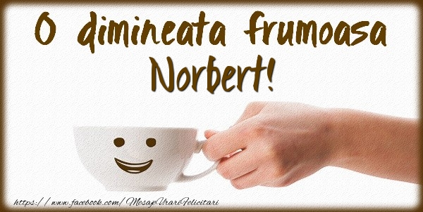Felicitari de buna dimineata - ☕ Cafea | O dimineata frumoasa Norbert!