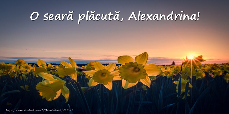 Felicitari de buna seara -  Flori: O seară plăcută, Alexandrina!