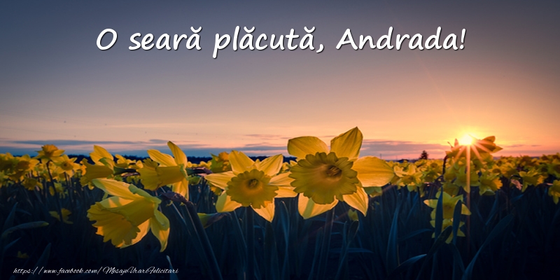 Felicitari de buna seara -  Flori: O seară plăcută, Andrada!
