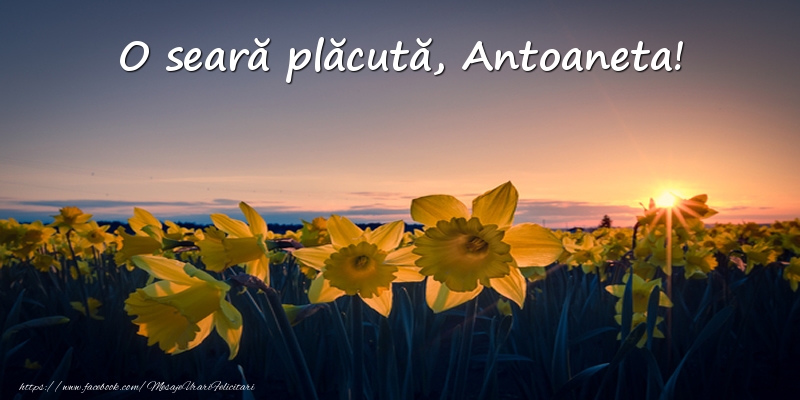 Felicitari de buna seara -  Flori: O seară plăcută, Antoaneta!