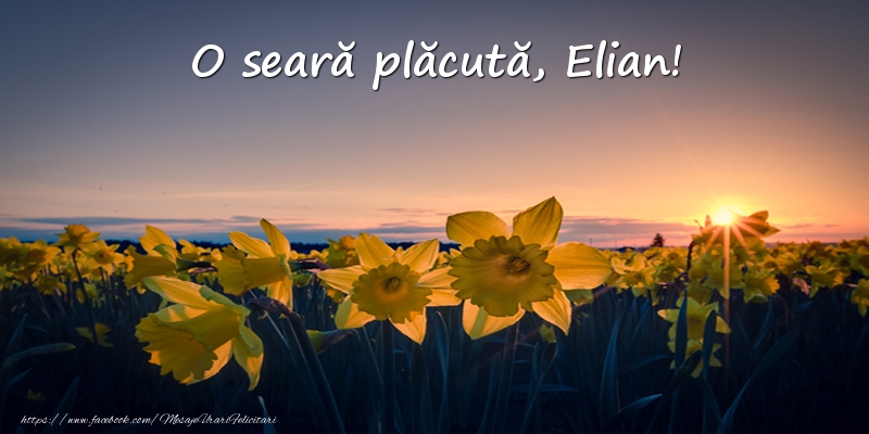 Felicitari de buna seara -  Flori: O seară plăcută, Elian!