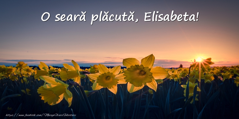 Felicitari de buna seara -  Flori: O seară plăcută, Elisabeta!