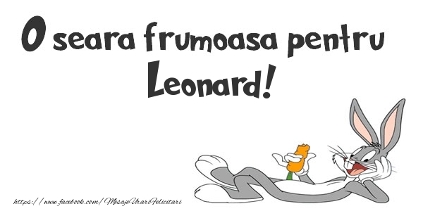 Felicitari de buna seara - O seara frumoasa pentru Leonard!