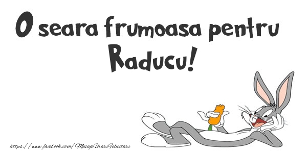 Felicitari de buna seara - O seara frumoasa pentru Raducu!