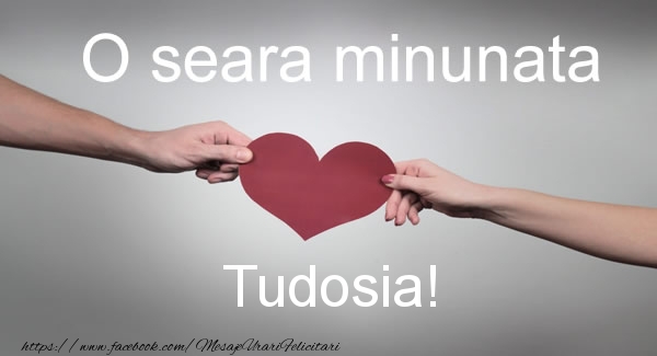 Felicitari de buna seara - O seara minunata Tudosia!