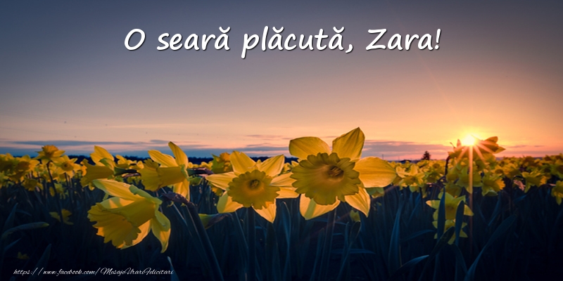 Felicitari de buna seara -  Flori: O seară plăcută, Zara!