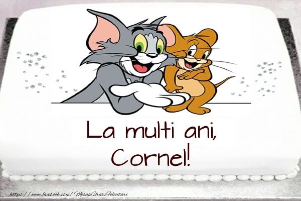 Felicitari pentru copii - Animație &  | Tort cu Tom si Jerry: La multi ani, Cornel!