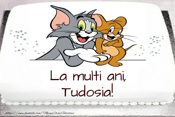 Felicitari pentru copii - Tort cu Tom si Jerry: La multi ani, Tudosia!