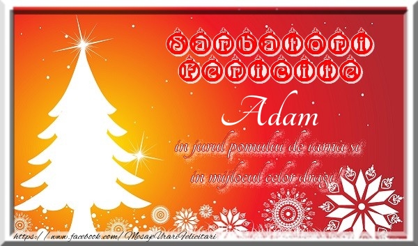 Felicitari de Craciun - Sarbatori fericite  in jurul pomului de iarna si in mijlocul celor dragi! Adam