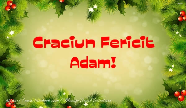 Felicitari de Craciun - Craciun Fericit Adam!