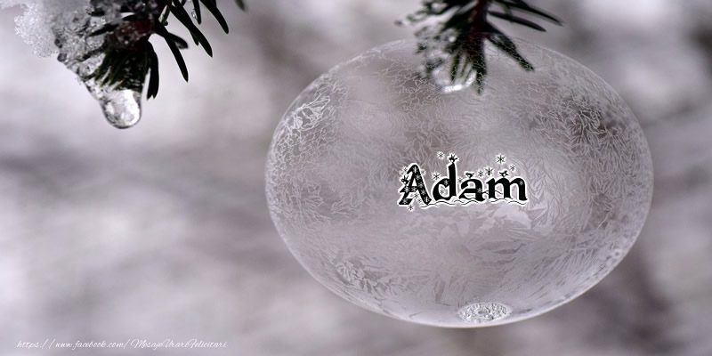 Felicitari de Craciun - Numele Adam pe glob