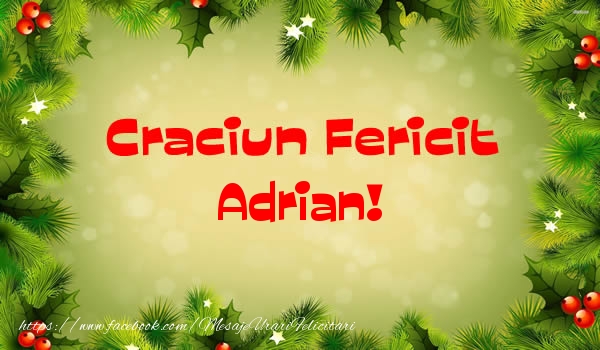 Felicitari de Craciun - Brazi | Craciun Fericit Adrian!