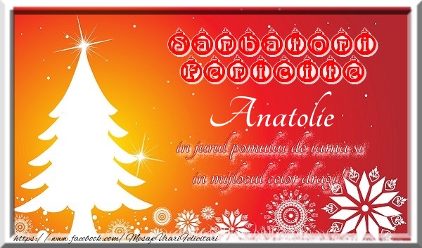 Felicitari de Craciun - Sarbatori fericite  in jurul pomului de iarna si in mijlocul celor dragi! Anatolie