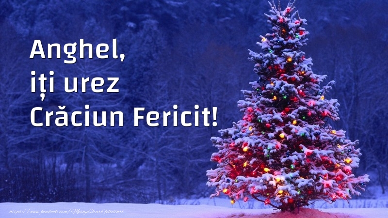 Felicitari de Craciun - Anghel, iți urez Crăciun Fericit!