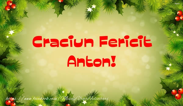 Felicitari de Craciun - Craciun Fericit Anton!