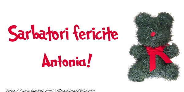 Felicitari de Craciun - Ursuleti | Sarbatori fericite Antonia!
