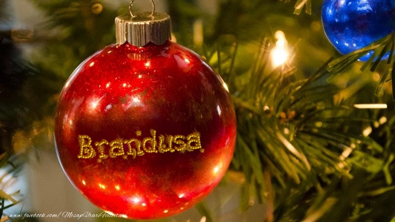 Felicitari de Craciun - Nume pe glob Brandusa