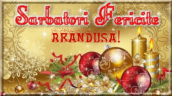 Felicitari de Craciun - Globuri | Sarbatori fericite Brandusa!