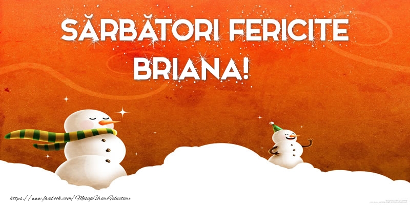 Felicitari de Craciun - ⛄ Om De Zapada | Sărbători Fericite Briana!