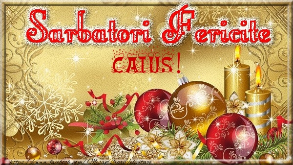 Felicitari de Craciun - Globuri | Sarbatori fericite Caius!