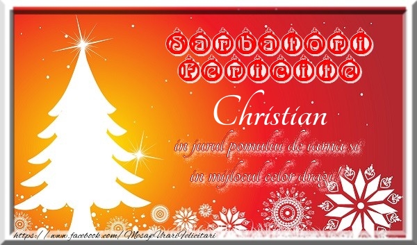 Felicitari de Craciun - Sarbatori fericite  in jurul pomului de iarna si in mijlocul celor dragi! Christian
