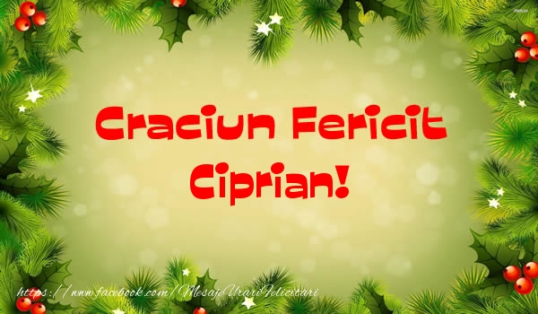 Felicitari de Craciun - Brazi | Craciun Fericit Ciprian!