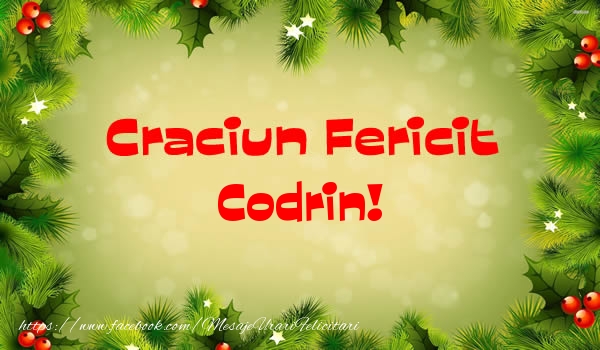 Felicitari de Craciun - Brazi | Craciun Fericit Codrin!