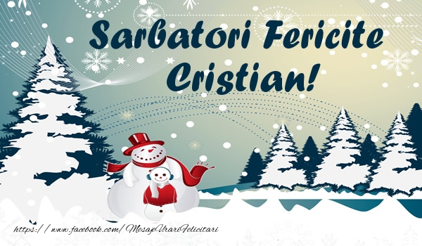 Felicitari de Craciun - ⛄ Brazi & Om De Zapada & Peisaje De Iarna | Sarbatori fericite Cristian!