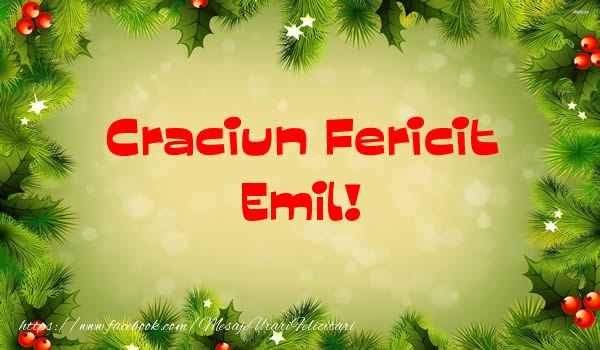 Felicitari de Craciun - Brazi | Craciun Fericit Emil!
