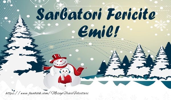 Felicitari de Craciun - Sarbatori fericite Emil!